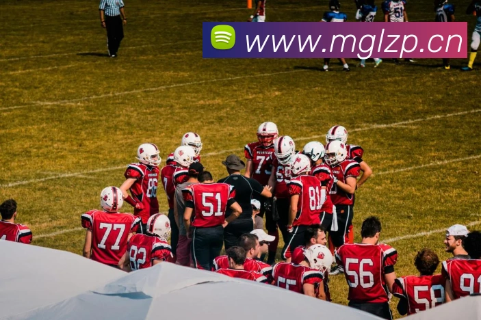 开云app平台入口发展历程